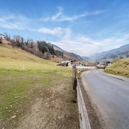 The Sun フッシュ・アン・デア・グロースグロックナーシュトラーセ